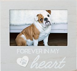 Pearhead Pet Forever In My Heart Memorial Keepsake Picture Frame