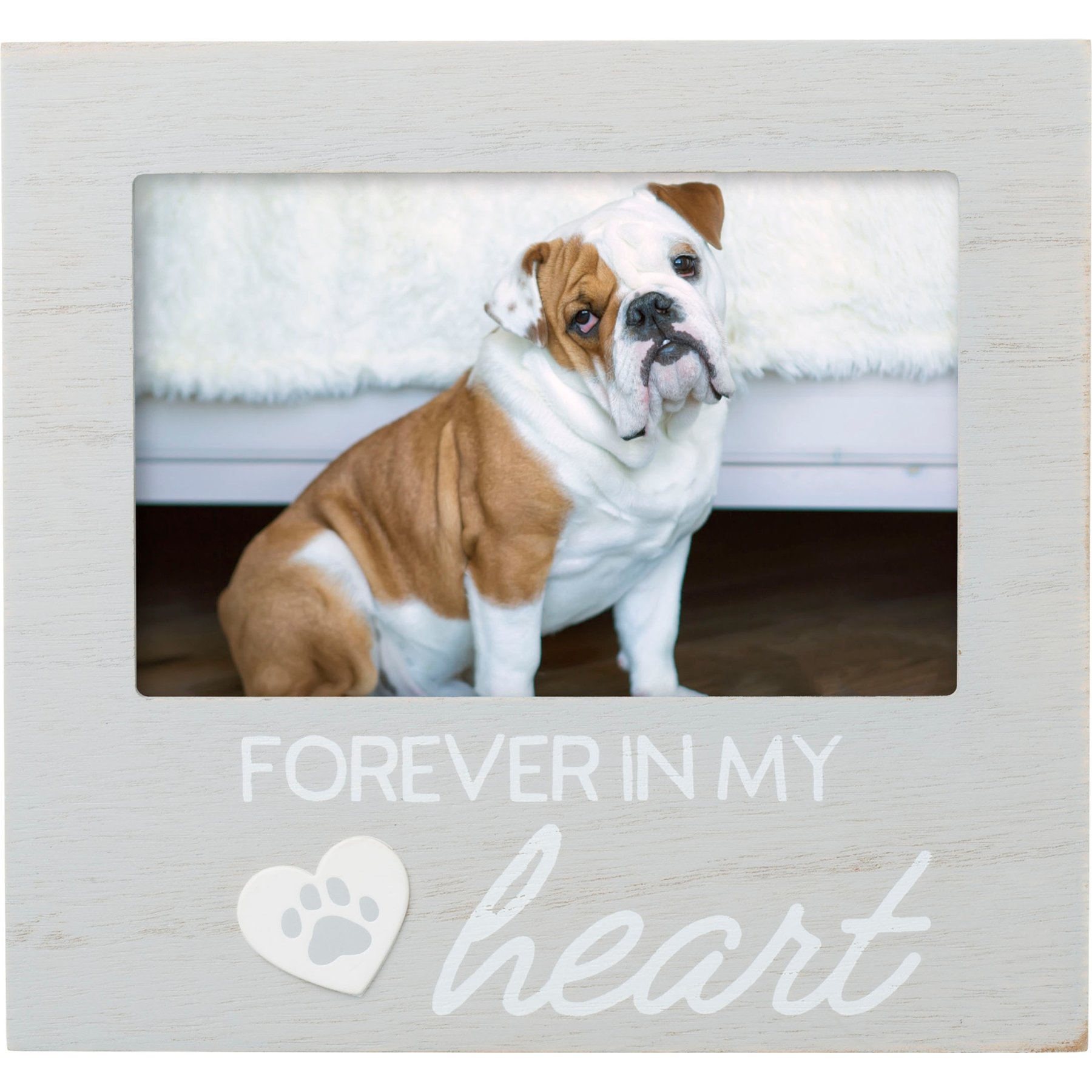 Pearhead Pet Forever In My Heart Memorial Keepsake Picture Frame