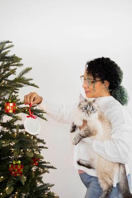 Show full view: Pearhead Christmas Pawprints 2-Pack Christmas Ornament slide 7 of 9