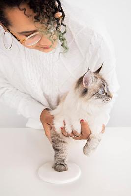 Show full view: Pearhead Christmas Cat Paw Print Keepsake Ornament Kit slide 2 of 6