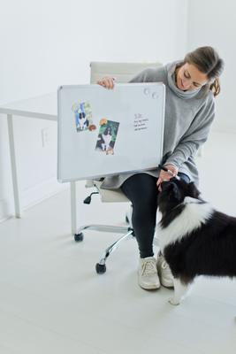 Show full view: Pearhead Pet Dog Bum Kitchen Magnet Set slide 3 of 5