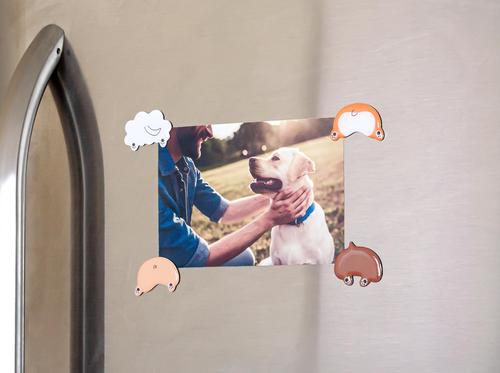 Show full view: Pearhead Pet Dog Bum Kitchen Magnet Set slide 2 of 5