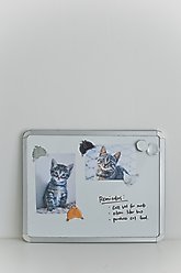 Pearhead Cat Bum Kitchen Magnets slide 2 of 5