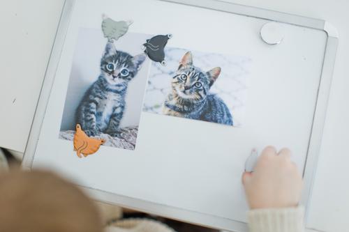 Show full view: Pearhead Cat Bum Kitchen Magnets slide 4 of 6