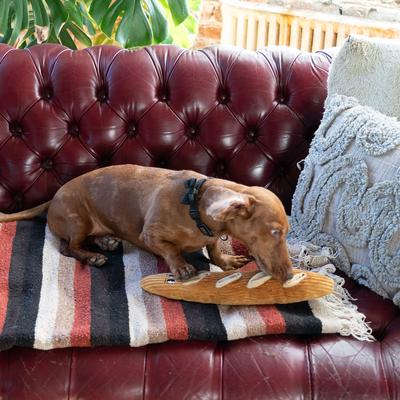 Show full view: ADC Houndstone & Co. Baguette Interactive Crinkle Plush Dog Toy with Treat Pockets slide 7 of 7