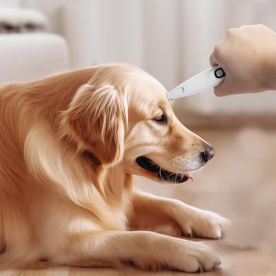 Show full view: allforpaws Pet Dog & Cat Hair Trimmer slide 9 of 11