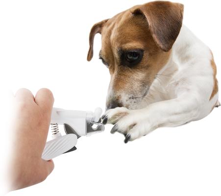 Show full view: allforpaws Pet Salon LED Dog & Cat Nail Clipper slide 8 of 11