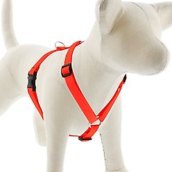 LupinePet Basic Solid Adjustable Dog Harness, Blaze Orange, Large: 20 to 32-in chest, 3/4-in wide