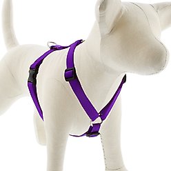 LupinePet Basic Solid Adjustable Dog Harness, Purple, Medium: 14 to 24-in chest, 3/4-in wide