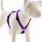 Show in main carousel: LupinePet Basic Solid Adjustable Dog Harness, Purple, Large: 20 to 32-in chest, 3/4-in wide slide 1 of 7