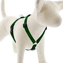 LupinePet Basic Solid Adjustable Dog Harness, Green, Large: 20 to 32-in chest, 3/4-in wide
