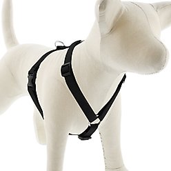 LupinePet Basic Solid Adjustable Dog Harness, Black, Medium: 14 to 24-in chest, 3/4-in wide