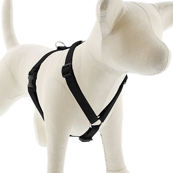 Show full view: LupinePet Basic Solid Adjustable Dog Harness, Black, Medium: 14 to 24-in chest, 3/4-in wide slide 1 of 7