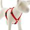 Show in main carousel: LupinePet Basic Solid Adjustable Dog Harness, Red, Small: 12 to 20-in chest, 3/4-in wide slide 1 of 7