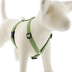 LupinePet ECO Recycled Adjustable Dog Harness, Moss, Medium: 14 to 24-in chest, 3/4-in wide