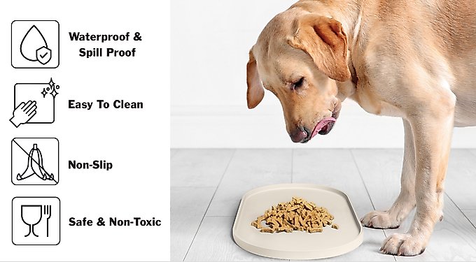 DogBuddy Oval Dog & Cat Placemat