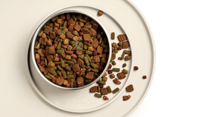 DogBuddy Oval Dog & Cat Placemat