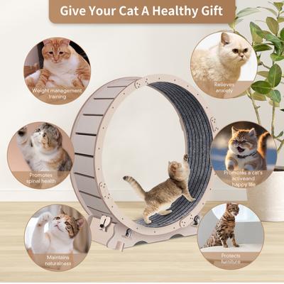 Show full view: Cesicia Cat Exercise Wheel, Natural Wood slide 3 of 8