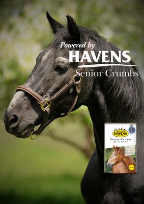 Show full view: HAVENS Senior Crumbs Horse Feed, 38.5-lb bag slide 6 of 8