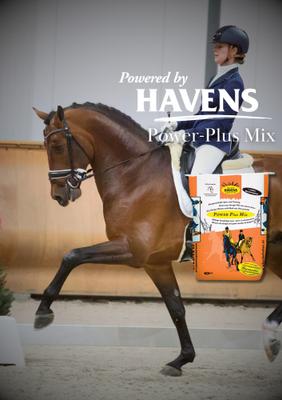 Show full view: HAVENS Power Plus with Electrolytes Horse Feed, 44-lb bag slide 5 of 8