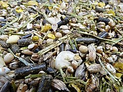 HAVENS Endurance 14 Horse Feed, 44-lb bag slide 2 of 7