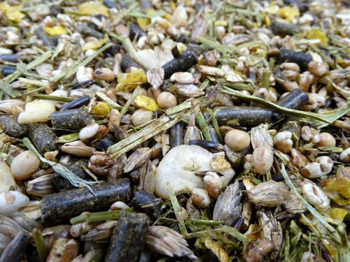 Show full view: HAVENS Endurance 14 Horse Feed, 44-lb bag slide 4 of 7