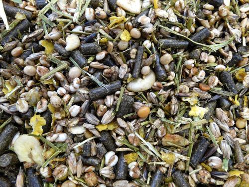 Show full view: HAVENS Endurance 14 Horse Feed, 44-lb bag slide 3 of 7