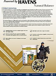 HAVENS Natural Balance Horse Feed, 38.5-lb bag slide 2 of 7