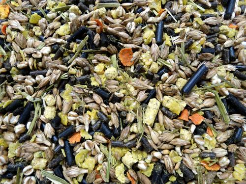 Show full view: HAVENS Natural Balance Horse Feed, 38.5-lb bag slide 4 of 7