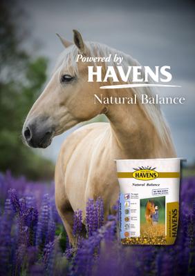 Show full view: HAVENS Natural Balance Horse Feed, 38.5-lb bag slide 5 of 7