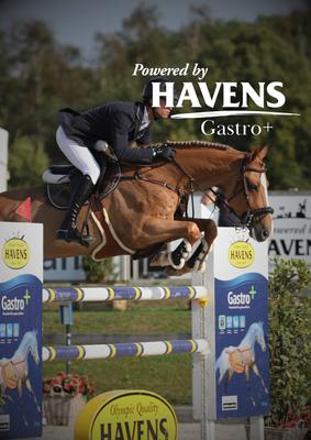 Show full view: HAVENS GASTRO+ Horse Feed, 44-lb bag slide 7 of 9