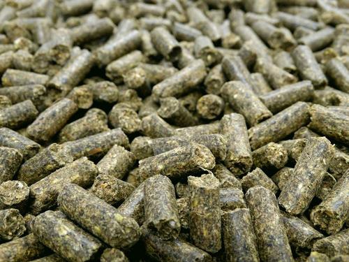 Show full view: HAVENS GASTRO+ Horse Feed, 44-lb bag slide 5 of 9