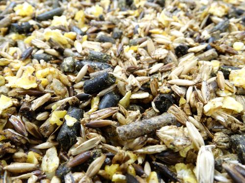 Show full view: HAVENS Sport Muesli Horse Feed, 44-lb bag slide 3 of 7