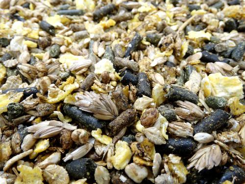 Show full view: HAVENS Cool Mix Horse Feed, 44-lb bag slide 3 of 7