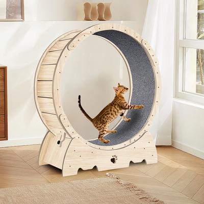 Show full view: Cesicia Carpeted Cat Exercise Wheel, Natural Wood slide 2 of 7