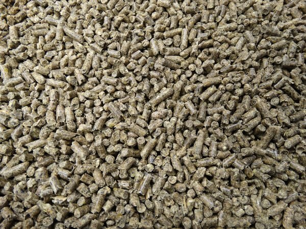 HAVENS DRAVERSBROK Horse Feed