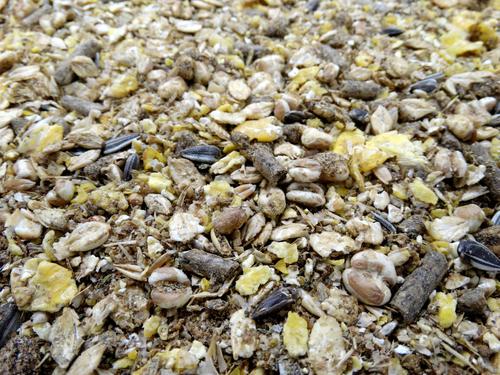 Show full view: HAVENS Slobber Mash Horse Feed, 44-lb bag slide 3 of 4