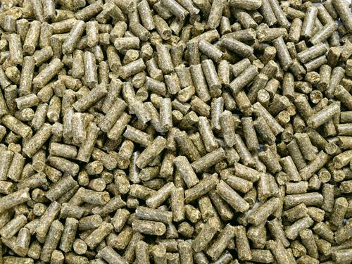 Show full view: HAVENS GASTRO+ Horse Feed, 44-lb bag slide 6 of 9