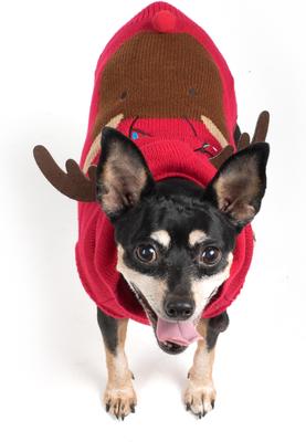 Show full view: The Worthy Dog Christmas Rudy Reindeer Dog Hoodie, Large slide 2 of 2