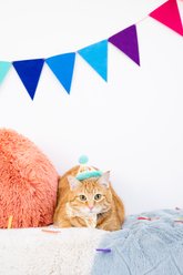 Pearhead Happy Purrday Cat Hat & Bowtie Set slide 2 of 5