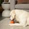 Show in main carousel: BULLYMAKE Keg Dog Toy, Orange slide 10 of 11