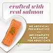 Show in main carousel: Fancy Feast Gems Mousse Salmon & a Halo of Savory Gravy Pate Wet Cat Food, 2-oz tray, 16 count slide 5 of 11