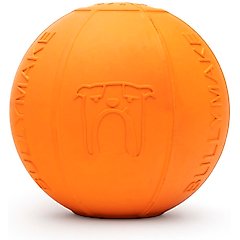 BULLYMAKE Beach Ball Dog Toy