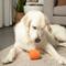 Show in main carousel: BULLYMAKE Keg Dog Toy, Orange slide 9 of 11