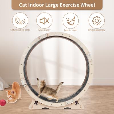 Show full view: Cesicia Cat Exercise Wheel, Natural Wood slide 1 of 8