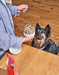 W&P Seal Tight Glass Bowl Dog Food Storage, 24-oz, Cream slide 2 of 6