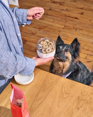 Show full view: W&P Seal Tight Glass Bowl Dog Food Storage, 24-oz, Terrazzo Cream slide 5 of 7