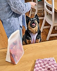 W&P Reusable Silicone Stand Up Dog Food Storage Bag, 50-oz, Blush slide 2 of 8