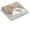 Show in main carousel: W&P Reusable Silicone Sandwich Bag Dog Food Storage, 34-oz, Sage slide 3 of 6