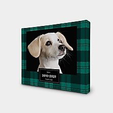 Canvas & Custom Prints